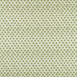SCION TAIMI NSWE134649.SCN.0 in PINE Fabric - SCION OAKHAM W