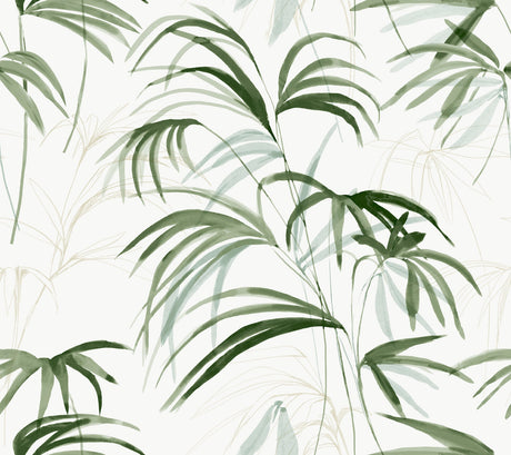 Candice Olson NT6121 Inky Palms Wallpaper - Eade's Wallpaper