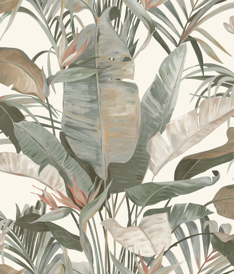 Candice Olson NT6131 Tropical Cabana Wallpaper - Eade's Wallpaper