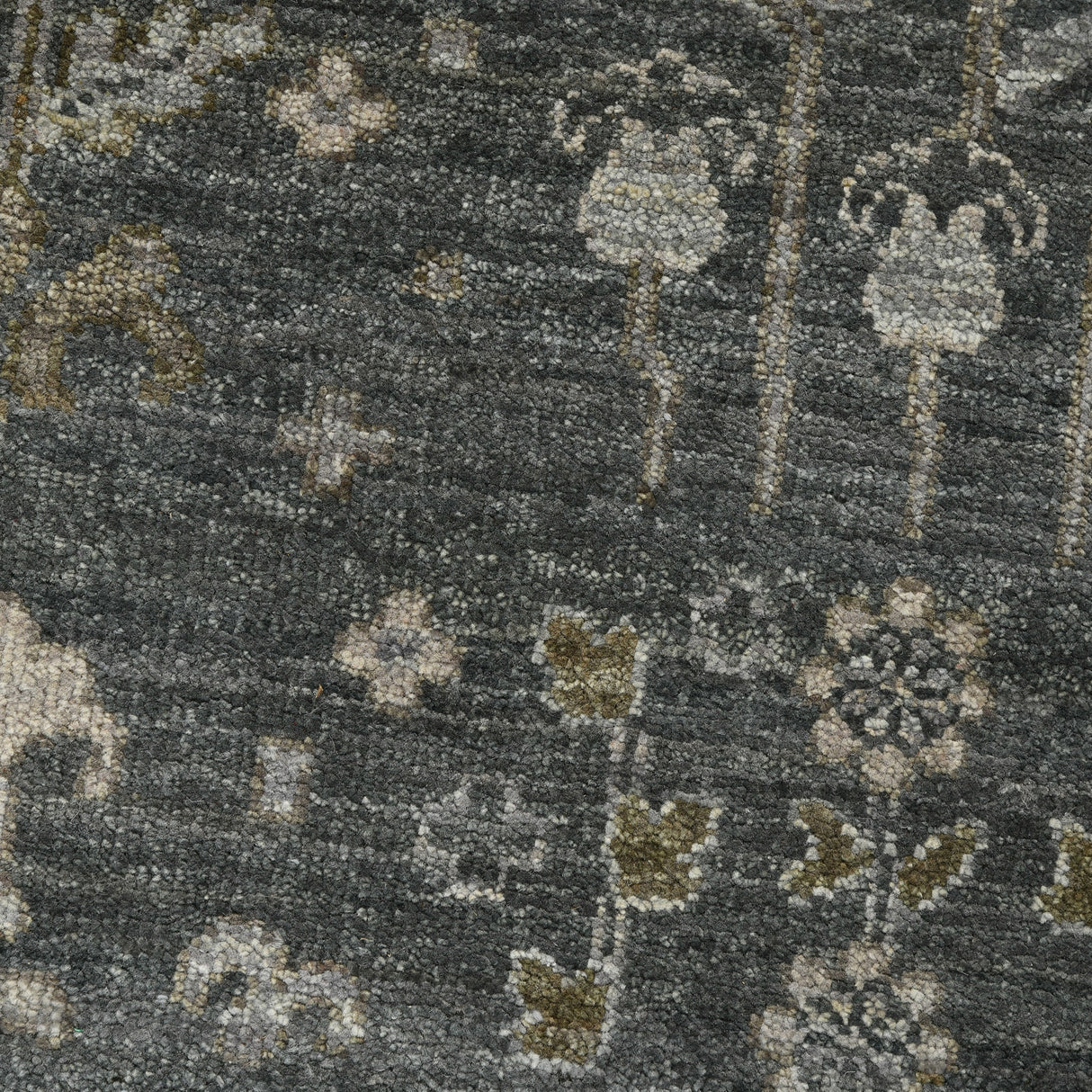 Amer Rugs NUI-2 Nuit Arabe Classic Bordered Area Rug