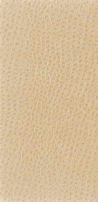 KRAVET BASICS NUOSTRICH.1116.0 NUOSTRICH PUTTY Fabric - Eade's Wallpaper