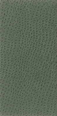 KRAVET BASICS NUOSTRICH.3.0 KRAVET BASICS NUOSTRICH-3 Fabric - Eade's Wallpaper