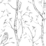 NuWallpaper NUS1412 Grey Woods Peel & Stick Wallpaper