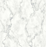 NextWall NW30400 Peek & Stick Wallpaper - Eade's Wallpaper & Fabric