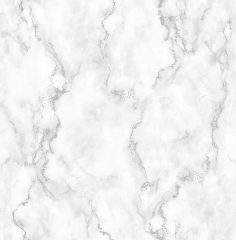 NextWall NW30400 Peek & Stick Wallpaper - Eade's Wallpaper & Fabric