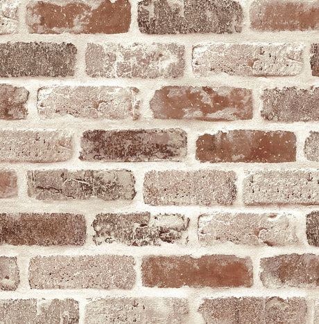 NextWall NW30501 Peek & Stick Wallpaper - Eade's Wallpaper & Fabric