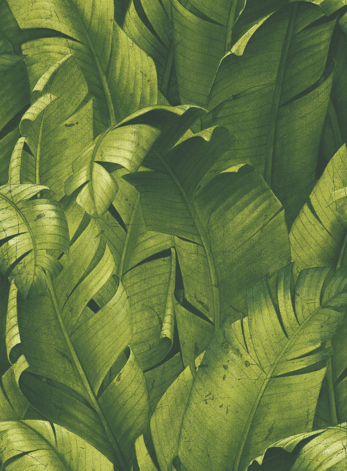 NextWall NW31000 Tropical Banana Leaves