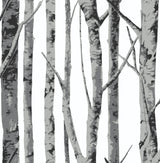 NextWall NW34800 Peek & Stick Wallpaper - Eade's Wallpaper & Fabric