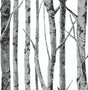 NextWall NW34800 Peek & Stick Wallpaper - Eade's Wallpaper & Fabric