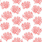 NextWall NW38001 Peek & Stick Wallpaper - Eade's Wallpaper & Fabric