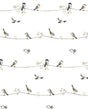 NextWall NW41600 Peek & Stick Wallpaper - Eade's Wallpaper & Fabric