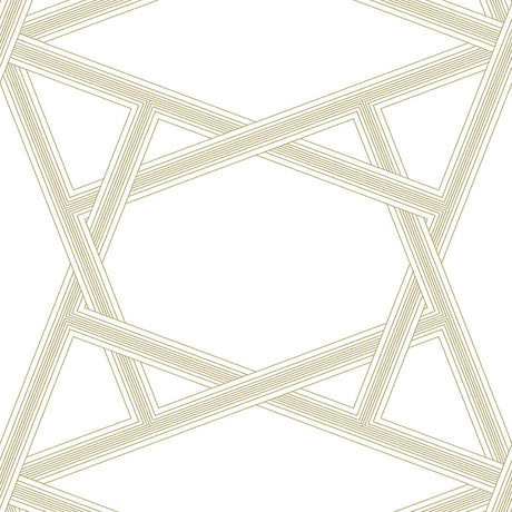 NextWall NW44303 Peek & Stick Wallpaper - Eade's Wallpaper & Fabric