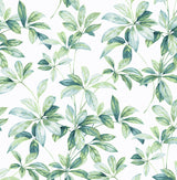 NextWall NW45604 Peek & Stick Wallpaper - Eade's Wallpaper & Fabric