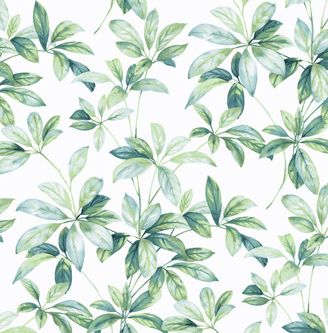 NextWall NW45604 Peek & Stick Wallpaper - Eade's Wallpaper & Fabric