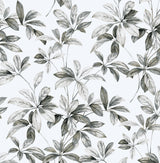 NextWall NW45605 Peek & Stick Wallpaper - Eade's Wallpaper & Fabric