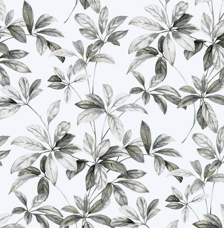 NextWall NW45605 Peek & Stick Wallpaper - Eade's Wallpaper & Fabric