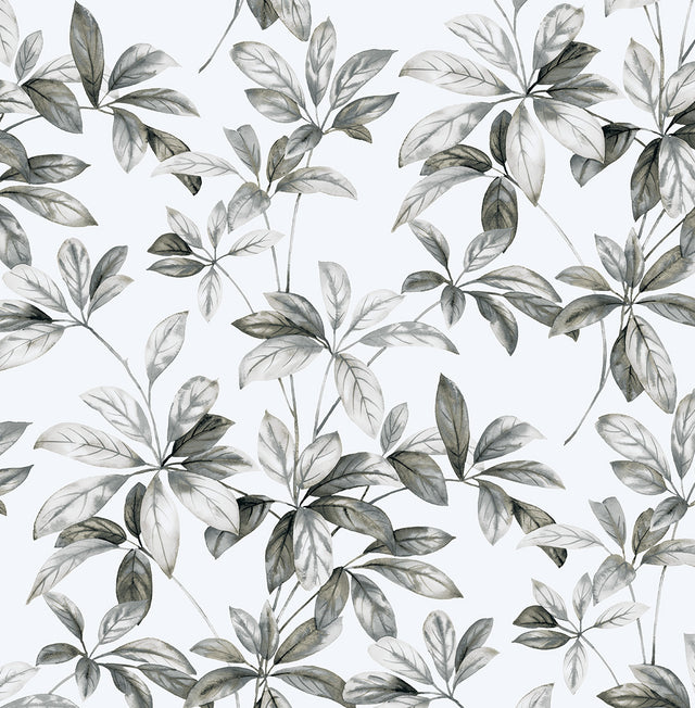 NextWall NW45605 Peek & Stick Wallpaper - Eade's Wallpaper & Fabric