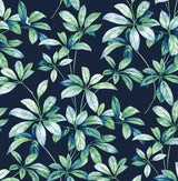 NextWall NW45612 Peek & Stick Wallpaper - Eade's Wallpaper & Fabric
