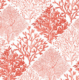 NextWall NW45804 Peek & Stick Wallpaper - Eade's Wallpaper & Fabric