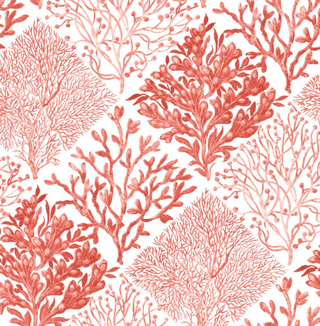NextWall NW45804 Peek & Stick Wallpaper - Eade's Wallpaper & Fabric