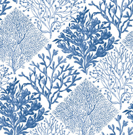 NextWall NW45805 Peek & Stick Wallpaper - Eade's Wallpaper & Fabric