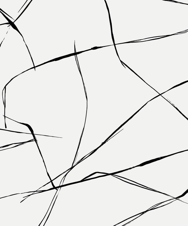 NextWall NW53200 Peek & Stick Wallpaper - Eade's Wallpaper & Fabric