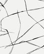 NextWall NW53200 Peek & Stick Wallpaper - Eade's Wallpaper & Fabric