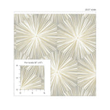 NextWall NW55008 Peek & Stick Wallpaper - Eade's Wallpaper & Fabric