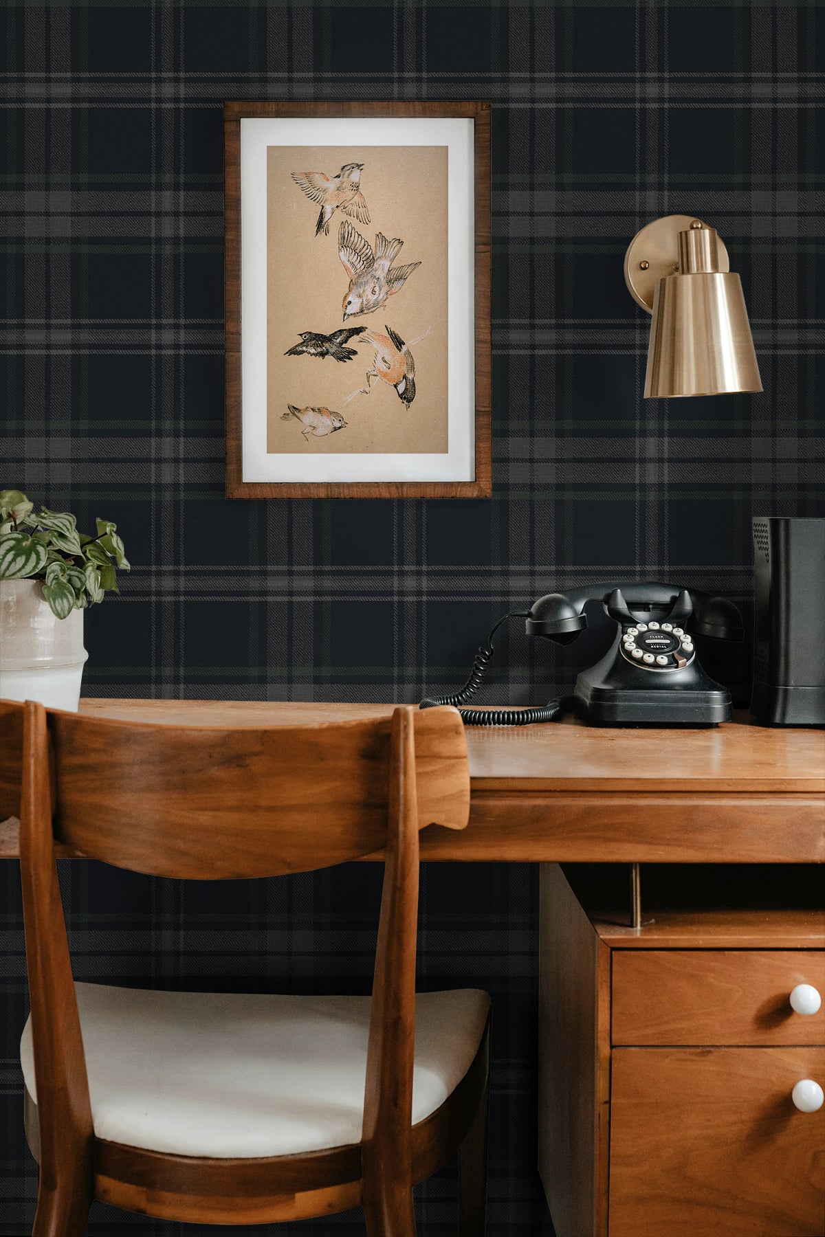 NextWall NW58902 Peek & Stick Wallpaper - Eade's Wallpaper & Fabric