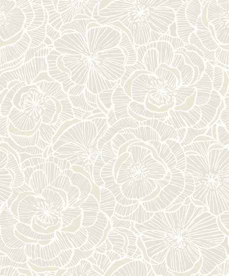 NextWall NW60000 Camellia Floral Wallpaper