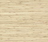 York NZ0781 River Grass Beige Wallpaper