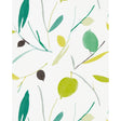 SCION NZAW111994.SCN.0 OXALIS WP KIWI/JUNIPER Wallpaper - Eade's Wallpaper