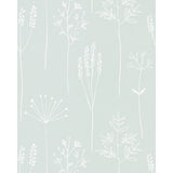 SCION NZAW112020.SCN.0 STIPA FROST Wallpaper - Eade's Wallpaper