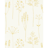 SCION NZAW112021.SCN.0 STIPA HONEY Wallpaper - Eade's Wallpaper