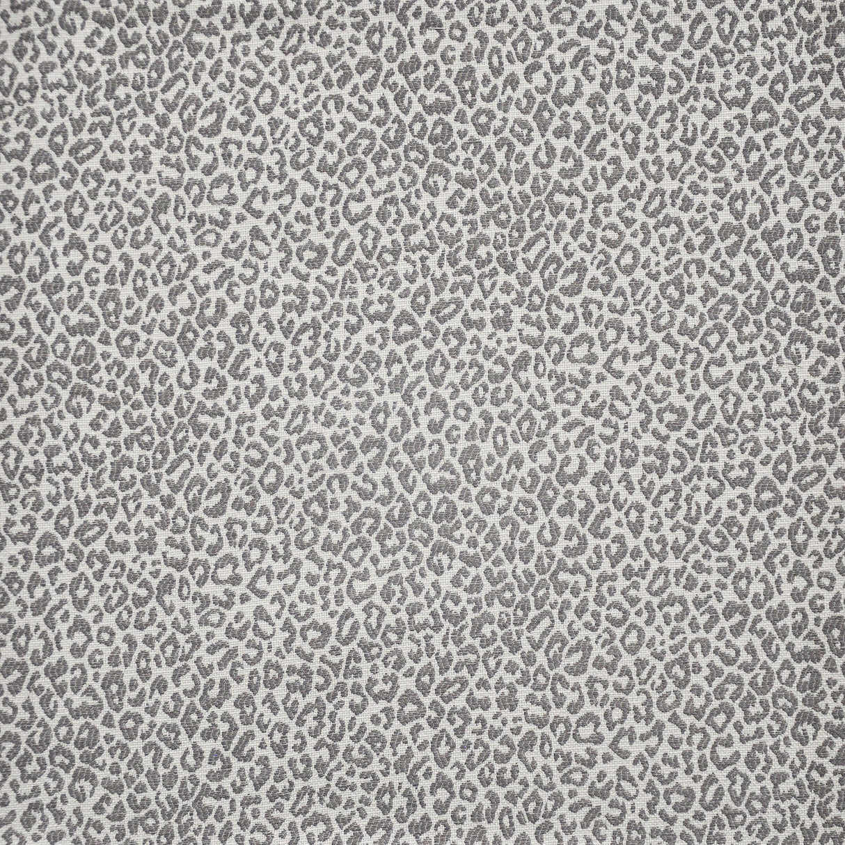 Eade’s # 127 SNOW LEOPARD