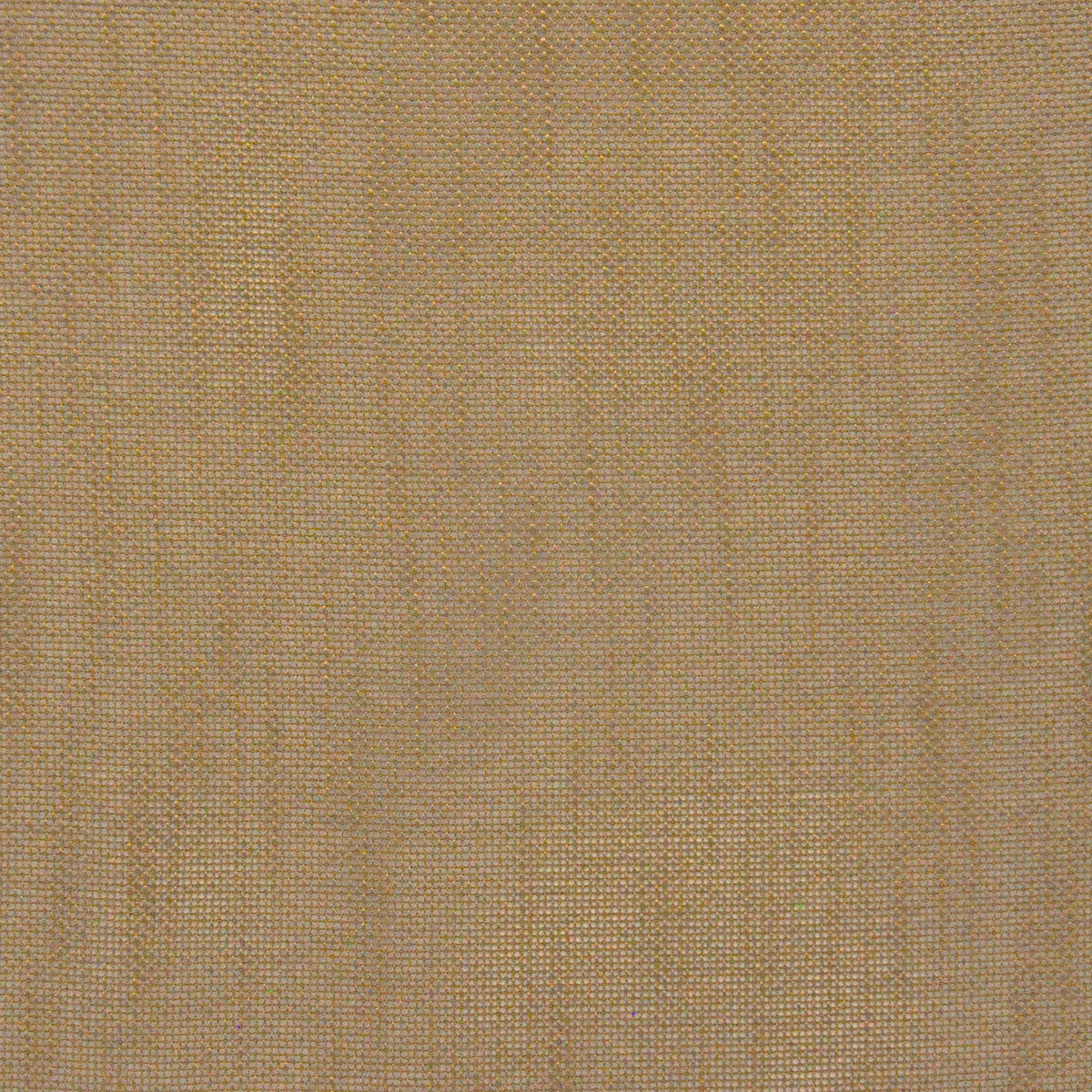 Eade’s # 536 PECAN