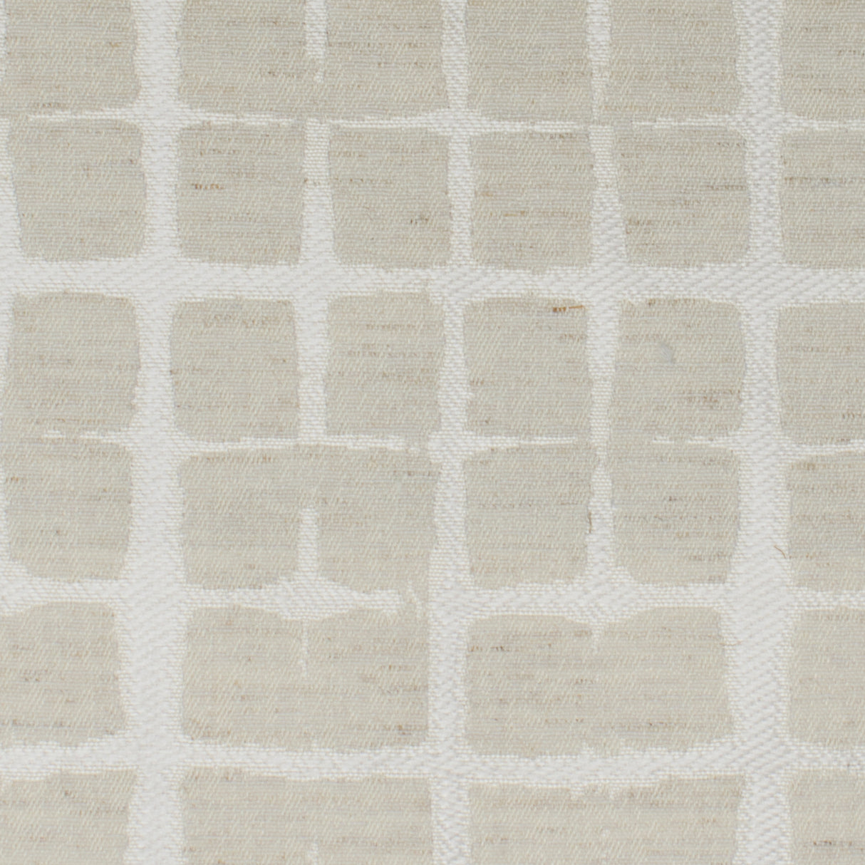 STOUT OBED-1 OBEDIENT 1 ECRU Fabric - Eades Wallpaper & Fabric