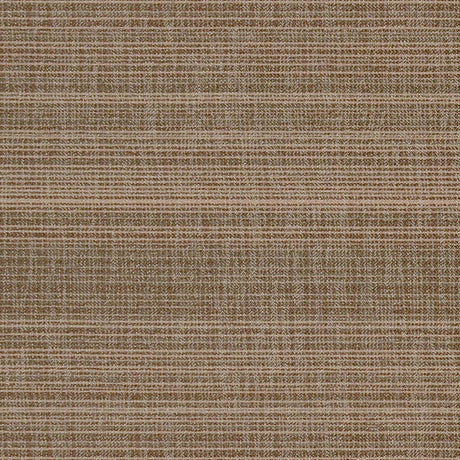 Eade’s OD-NEELA ALMOND ALMOND