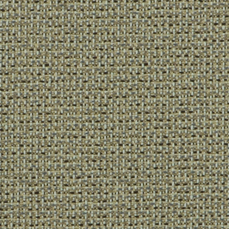 Eade’s OD-NEV BUCKEYE BUCKEYE