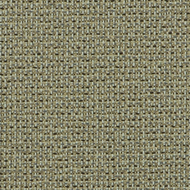 Eade’s OD-NEV BUCKEYE BUCKEYE