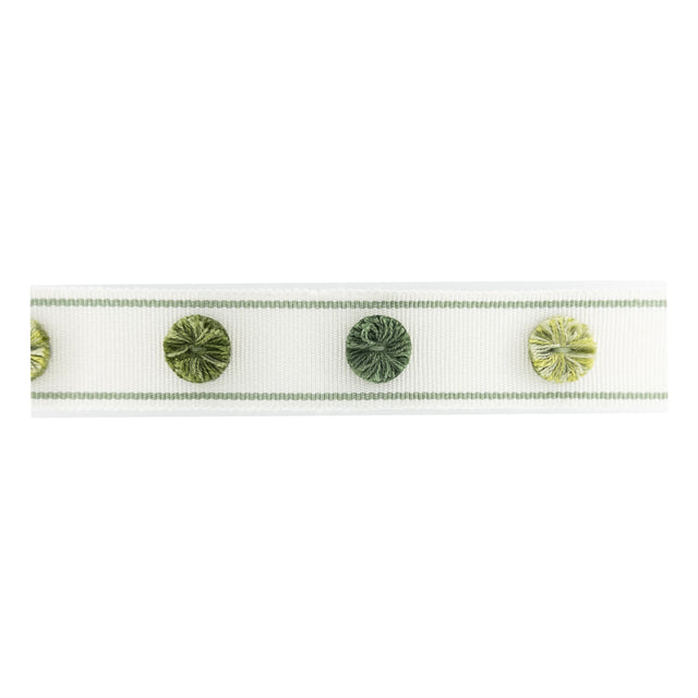 STOUT ODES-5 ODESSA TAPE 5 AVOCADO Fabric - Eades Wallpaper & Fabric