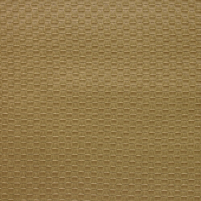 KRAVET DESIGN OLIA.16.0 KRAVET DESIGN OLIA-16 Fabric - Eade's Wallpaper