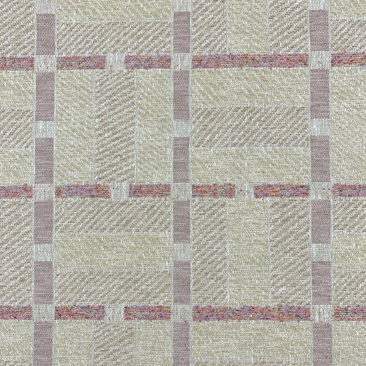 Eade’s OLIVIA ORCHID ORCHID