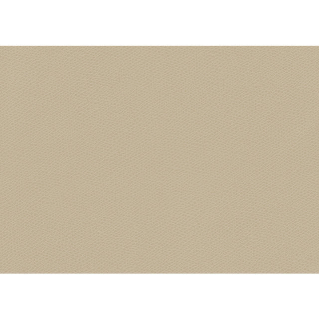 KRAVET CONTRACT OPHIDIAN.101.0 OPHIDIAN OATMEAL Fabric - Eade's Wallpaper