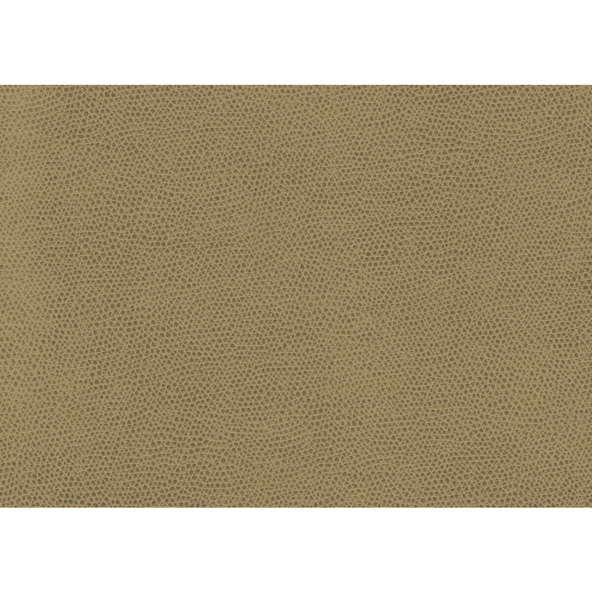 KRAVET CONTRACT OPHIDIAN.16.0 OPHIDIAN WHEAT Fabric - Eade's Wallpaper