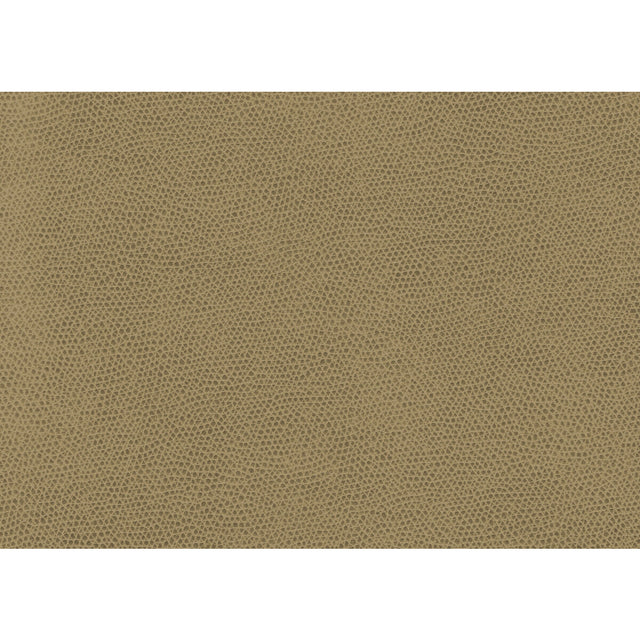 KRAVET CONTRACT OPHIDIAN.16.0 OPHIDIAN WHEAT Fabric - Eade's Wallpaper