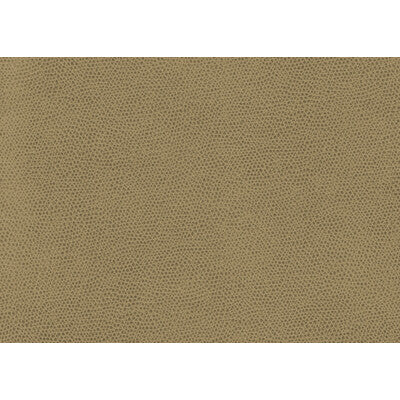 KRAVET CONTRACT OPHIDIAN.16.0 OPHIDIAN WHEAT Fabric - Eade's Wallpaper