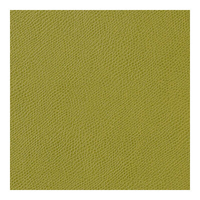 KRAVET CONTRACT OPHIDIAN.23.0 OPHIDIAN LIME Fabric - Eade's Wallpaper