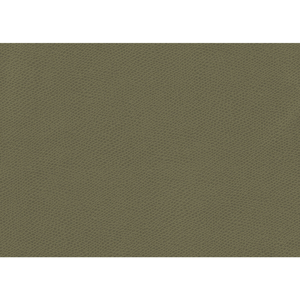 KRAVET CONTRACT OPHIDIAN.3.0 OPHIDIAN SAGE Fabric - Eade's Wallpaper
