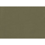 KRAVET CONTRACT OPHIDIAN.3.0 OPHIDIAN SAGE Fabric - Eade's Wallpaper